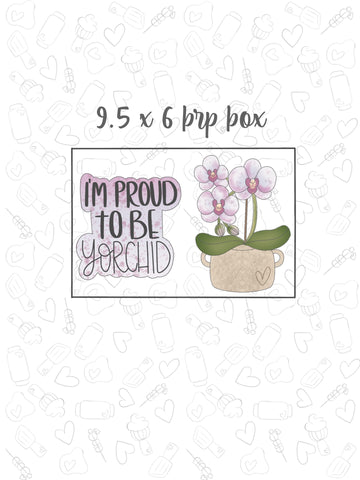 Orchid Plant Collection for 9.5 x 6 brp box 4 inch