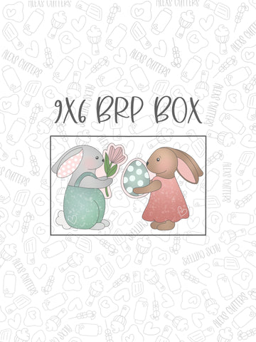 Some Bunny Love You Collection- 2 Piece Set fits 9x6  brp Box